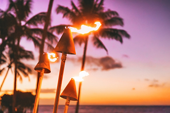 Summer Luau 