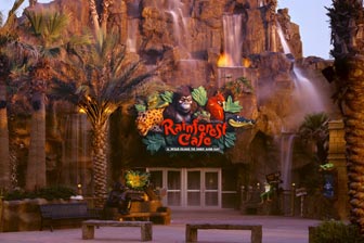 Rainforest Cafe