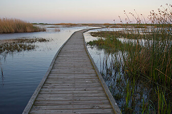 Galveston Beach Parks